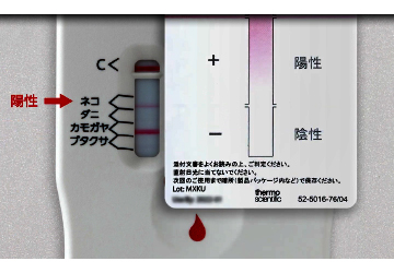 操作手順06