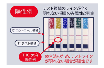 関東化学：DRIVEN-FLOW IV M6 ポックWEB | POC検査情報提供サイト