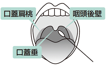 操作手順01_2