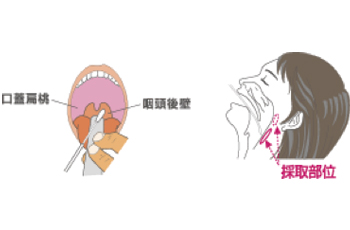 操作手順01