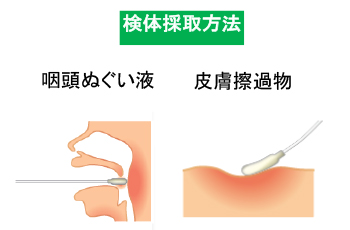 操作手順01